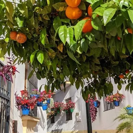 Semesterbostad Casa Gibraltar