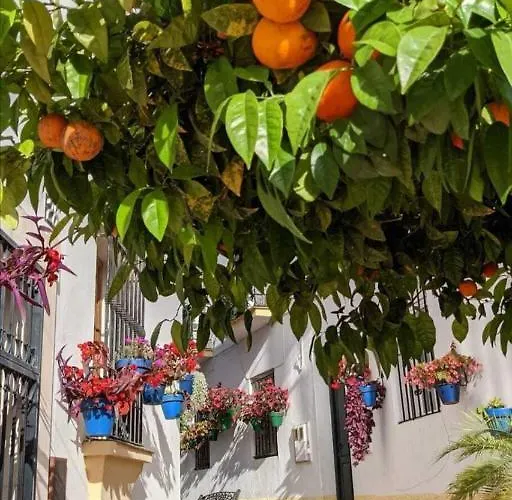 Casa vacanze Casa Gibraltar