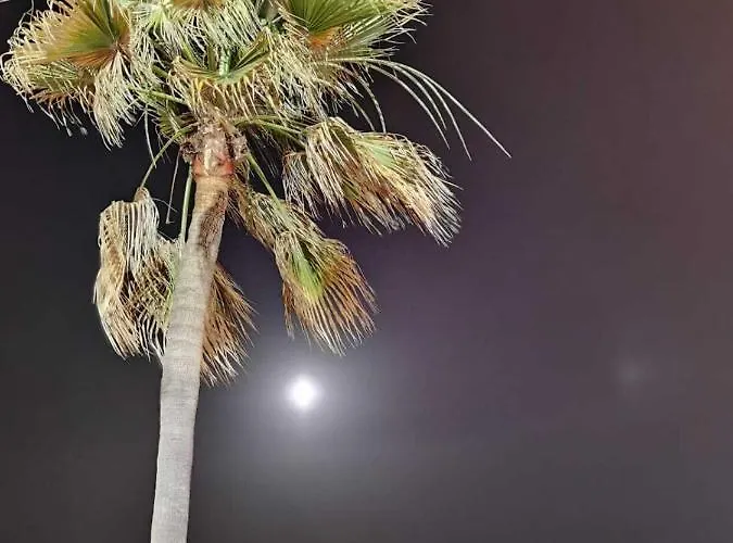 Casa Gibraltar Tatil Evi